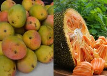 Web 2025 05 23t093705.549