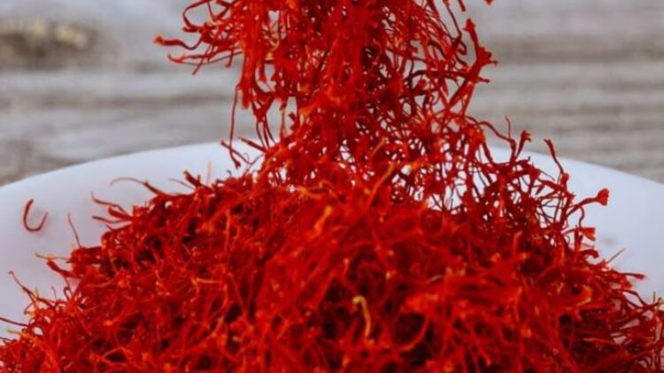 Web (41)