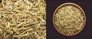 What are cumin seeds jeera