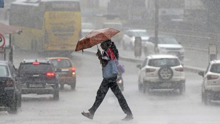 Befunky collage 2025 05 26t080848.517 1024x576