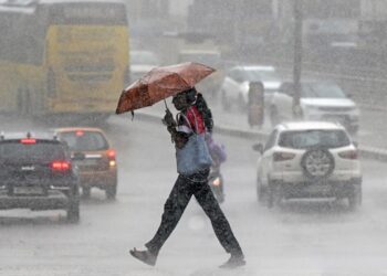 Befunky collage 2025 05 26t080848.517