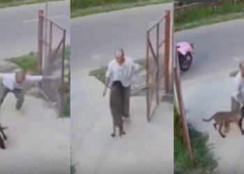 Befunky collage 2025 06 02t145949.900