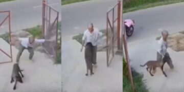 Befunky collage 2025 06 02t145949.900