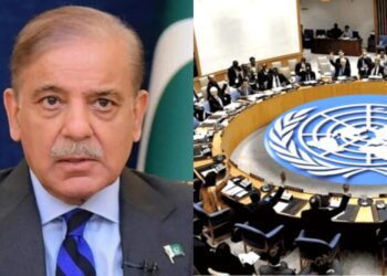 Befunky collage 2025 06 05t112846.345