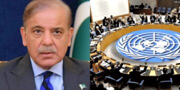 Befunky collage 2025 06 05t112846.345