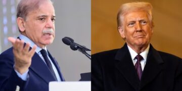 Befunky collage 2025 06 05t121010.247