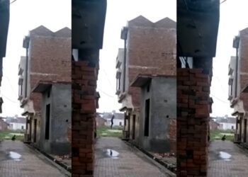 Befunky collage 2025 06 05t130331.825