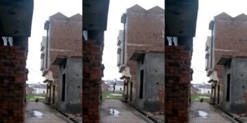 Befunky collage 2025 06 05t130331.825