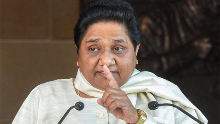 Befunky collage 2025 06 05t160553.616