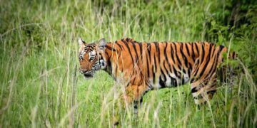 Befunky collage 2025 06 10t182608.622