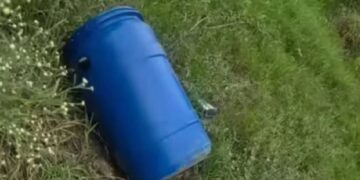 Untitled design (10)