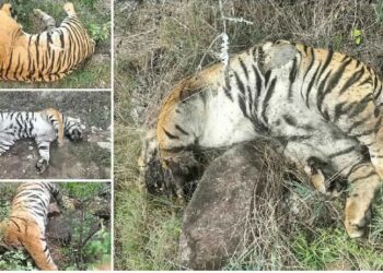 Untitled design (14)