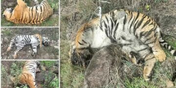 Untitled design (14)