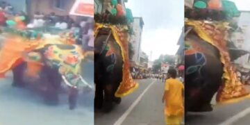 Untitled design (18)