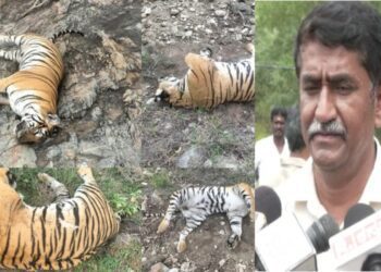 Untitled design (20)