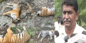 Untitled design (20)