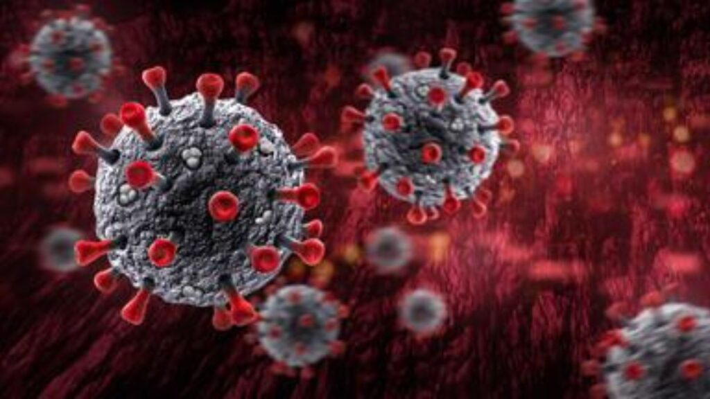 Untitled design 2025 06 04t233839.591