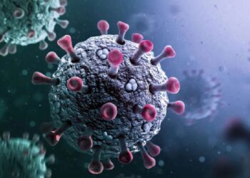 Untitled design 2025 06 05t222927.045