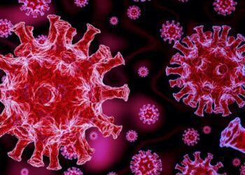 Untitled design 2025 06 07t225805.848