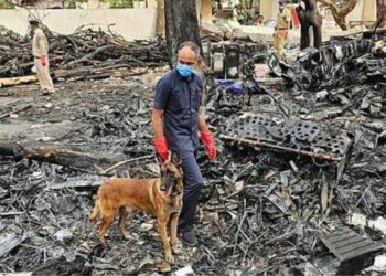 Untitled design 2025 06 17t211356.065