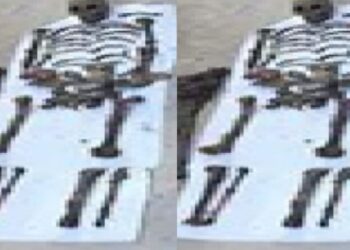 Untitled design 2025 06 19t161618.835