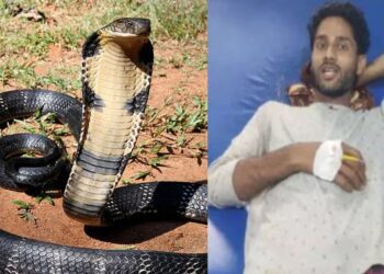 Untitled design 2025 06 21t234609.530