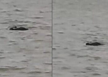 Untitled design 2025 06 23t123258.043