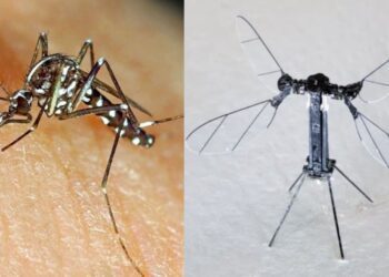 Untitled design 2025 06 23t133601.730