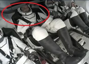 Untitled design 2025 06 25t115401.268