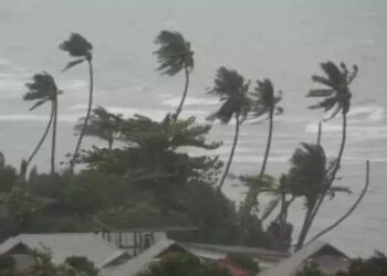 Untitled design 2025 06 26t075854.662