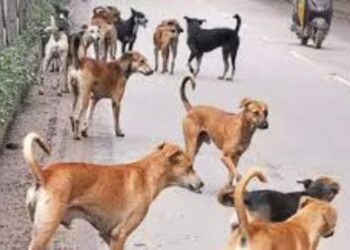 Untitled design 2025 06 27t190735.008