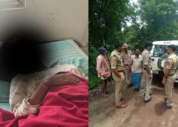 Untitled design (28)