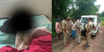 Untitled design (28)