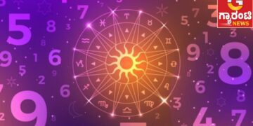 Untitled design (30)