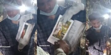 Untitled design (41)