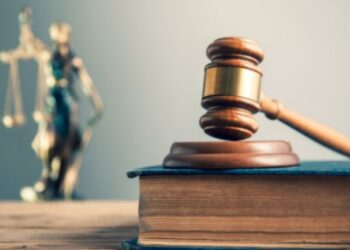 Untitled design (55)