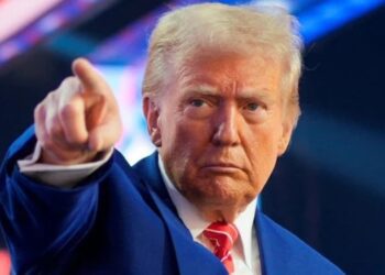 Untitled design (63)