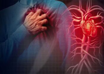 Untitled design (73)