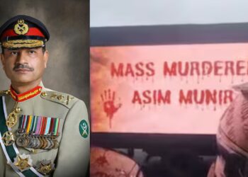 Untitled design (74)