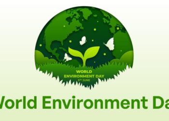 Your paragraph text (3)