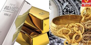 Your paragraph text (5)