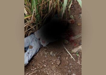 Kalaburagi man attempts suicide in public