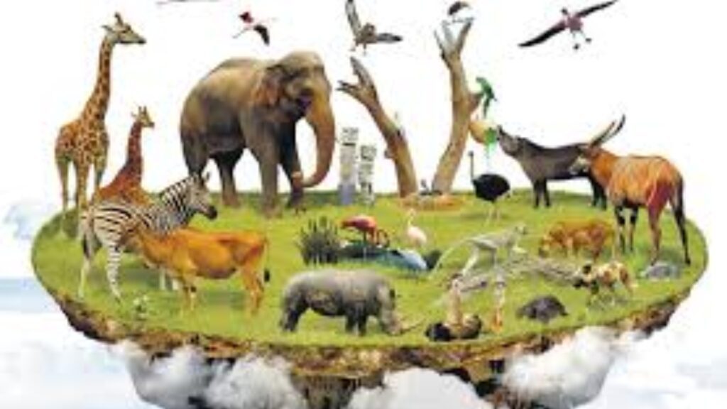 Web 2025 06 01t224246.179