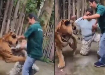 Web 2025 06 02t120637.739