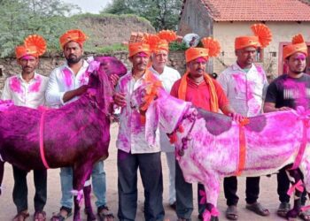 Web 2025 06 07t103556.372