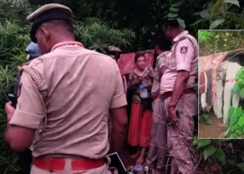 6f1ce3eefdfc928038cf2e4c26a411d0a6b0c4ac182cdfa604f11a12f6760f60