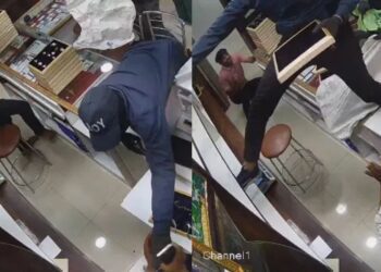 Untitled design (19)