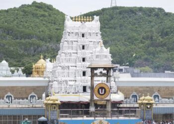 Untitled design (19)