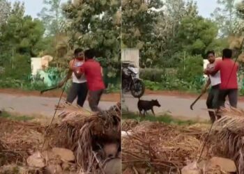 Untitled design 2025 07 07t120133.092