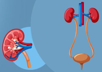 Untitled design 2025 07 07t131747.145